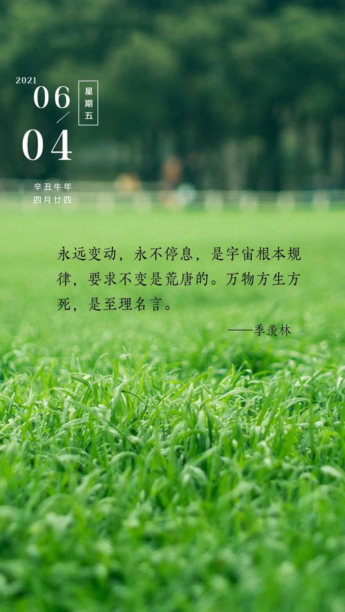 早晨陽(yáng)光的正能量唯美句子,早晨的句子發(fā)朋友圈正能量,早晨的陽(yáng)光正能量滿滿的句子