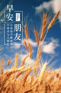 早安勵(lì)志正能量的句子,好心態(tài)早安正能量句子,早安語錄正能量的句子