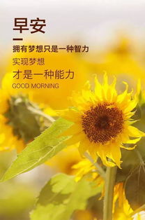 早安,句子,勵(lì)志,心語(yǔ)