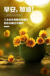 早安開心正能量的句子,早安開心幽默正能量的句子,早安簡短一句話正能量句子
