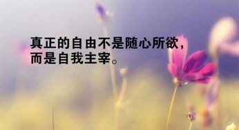 游泳正能量的句子短句,積極向上正能量的句子短句,陽(yáng)光心態(tài)正能量的句子短句