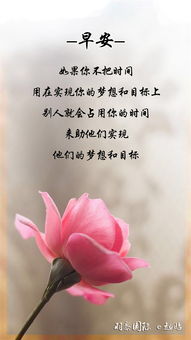 健康心語正能量句子女人
