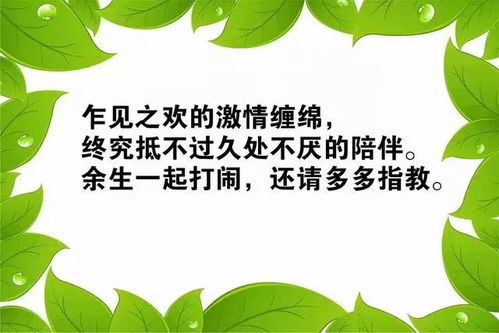女人正能量創(chuàng)業(yè)的句子經(jīng)典語句