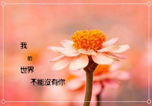 早安,句子,語錄,朋友圈