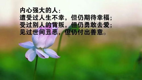 早晨正能量勵(lì)志的短句子,早晨充滿正能量的短句子,積極正能量的話語(yǔ)陽(yáng)光的句子