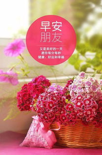 幫助別人正能量的句子經典語句