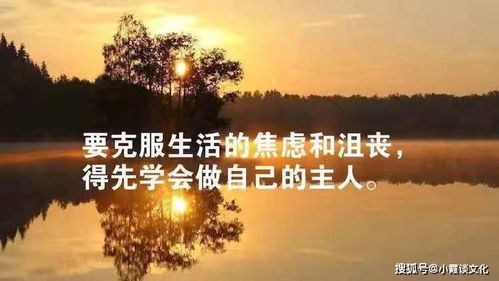 適合中午正能量的話語(yǔ)短句子