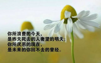 句子,能量,話語(yǔ),中午