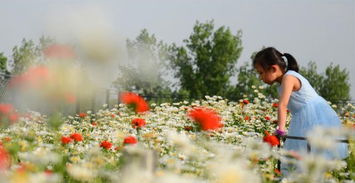 關(guān)于堅(jiān)持的正能量句子,正能量優(yōu)秀句子,正能量滿滿的勵(lì)志句子