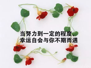 關于工作心態(tài)的正能量句子,2020工作心態(tài)正能量句子,工作心態(tài)陽光正能量句子