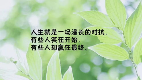 晚安致自己正能量發(fā)圈的句子,正能量發(fā)圈的句子經(jīng)典語(yǔ)句,正能量勵(lì)志發(fā)圈的句子