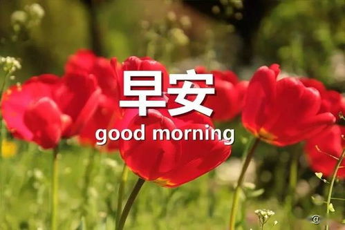 早安工作正能量的句子說說心情短語