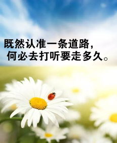 創(chuàng)業(yè)努力正能量的句子早安句