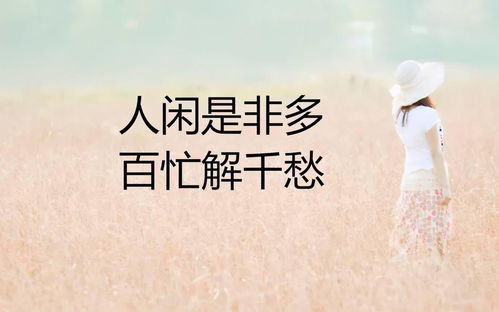 晚上開車勵(lì)志的句子正能量,堅(jiān)持勵(lì)志正能量的句子,早上好勵(lì)志正能量句子