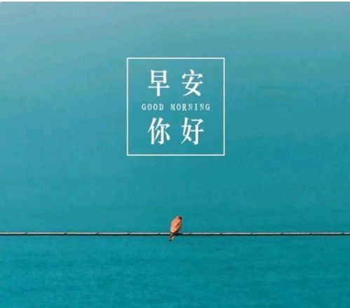 周六快樂正能量的句子,快樂正能量的句子經(jīng)典語句,傳遞快樂正能量的句子