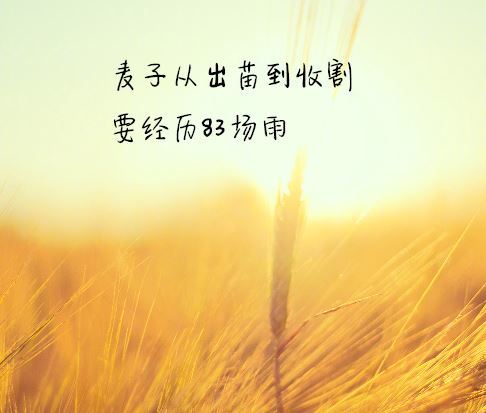 情感正能量句子說說心情