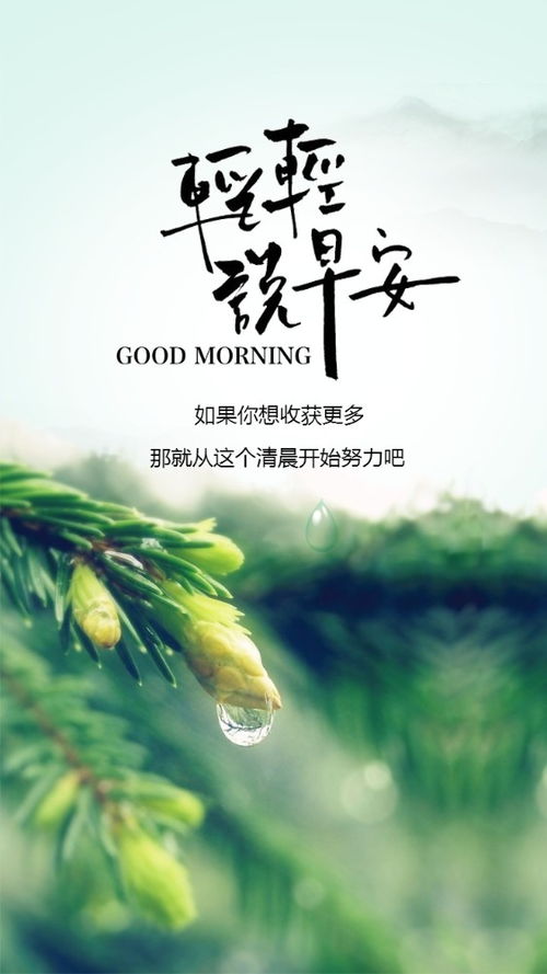 正能量的句子人生感悟陽(yáng)光,正能量的句子人生感悟努力工作2021,哲理句子青春人生感悟正能量