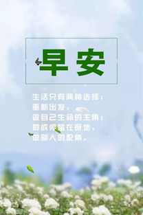 正能量佛系句子,關(guān)于堅(jiān)持的正能量句子,正能量滿滿的勵(lì)志句子