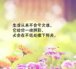 滿滿正能量句子大全,充滿正能量的勵志短句子,滿滿的正能量的短句子