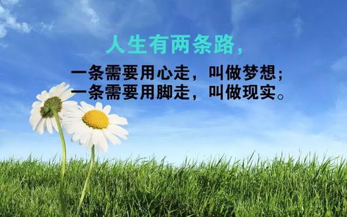 句子,勵志,語錄,早餐