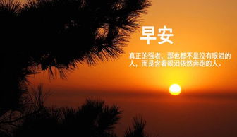 正能量一句話勵志短句子,正能量走心的句子簡短一句話,今日收獲正能量的句子一句話