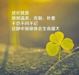 寫一些早安正能量的句子