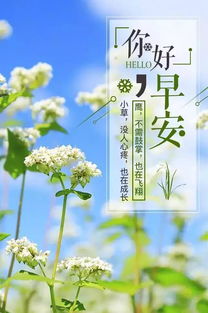 工作早安心語正能量句子,教師工作心語正能量句子,工作勵志心語正能量句子