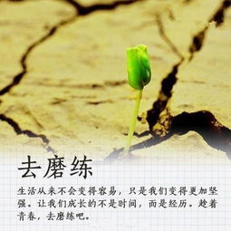 女生陽(yáng)光正能量的句子