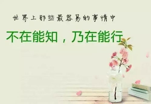 充滿正能量的句子,喝茶正能量的句子,美好的一天正能量句子