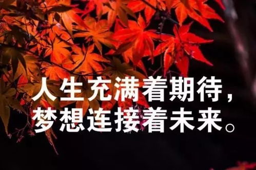 送給修車的人正能量句子