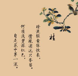 古風,句子,名言,能量