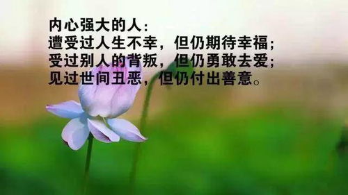 簡單感恩勵志正能量的句子,感恩老師勵志正能量的句子,感恩公司勵志正能量的句子