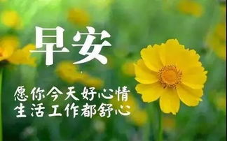 充滿陽光的句子正能量早安的句子高考,早上的問候句,充滿陽光的句子正能量的句子英文,充滿陽光的句子正能量的句子