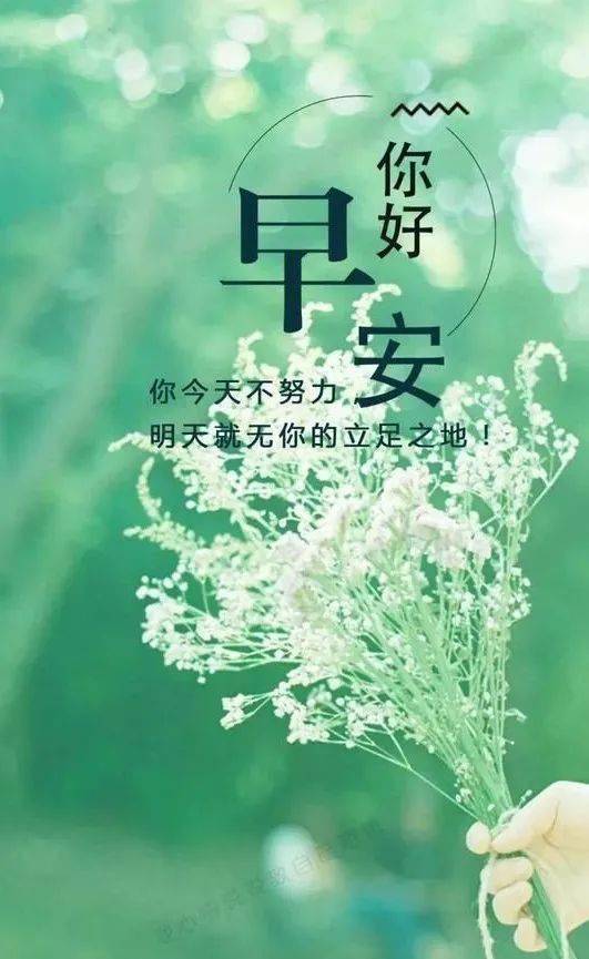 句子,能量,感悟,愛情