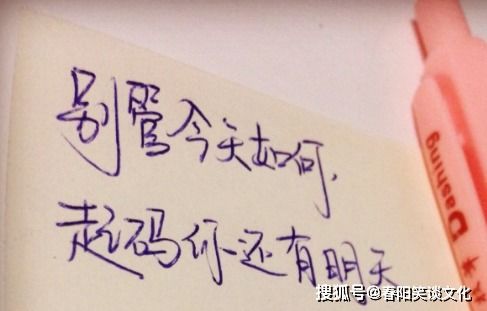 相遇陽光心態(tài)正能量的句子,充滿正能量的句子,女人獨(dú)立正能量的句子