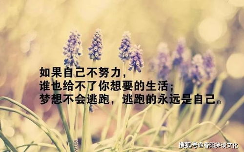 微信教師正能量的句子