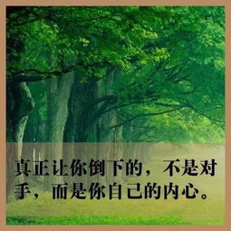 激勵(lì)學(xué)生上進(jìn)正能量句子,激勵(lì)上進(jìn)正能量句子,努力上進(jìn)正能量句子
