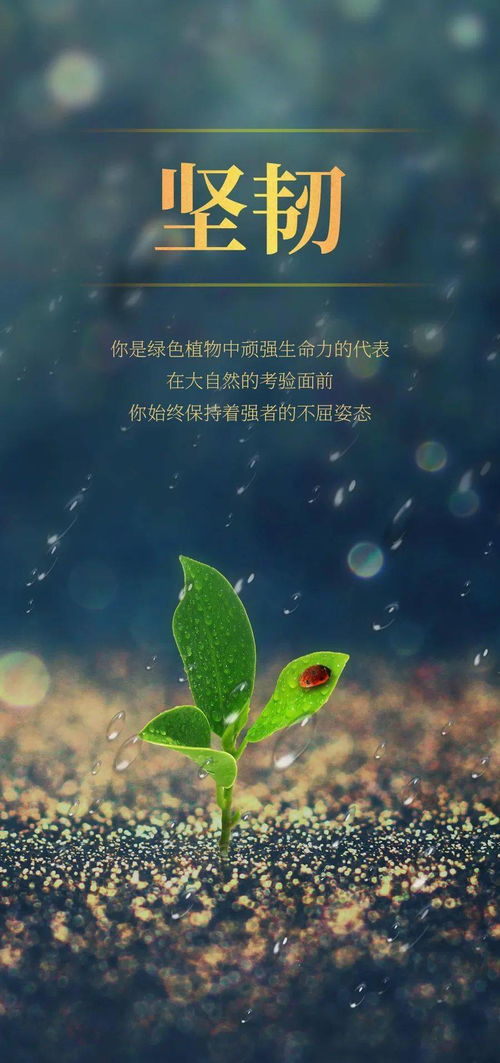 關于生命的正能量句子,生命正能量的句子經典語句,有關生命的好句子