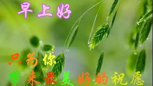 充滿陽光的句子正能量早安的句子高考