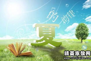 句子,能量,夏天,音樂(lè)