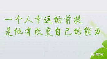 夸偶像傳遞正能量的句子