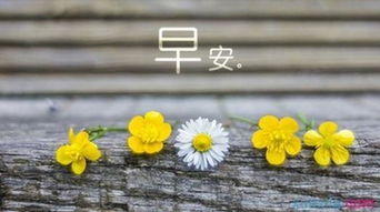 早安勵志心語正能量句子,工作早安心語正能量句子,周末早安心語正能量句子