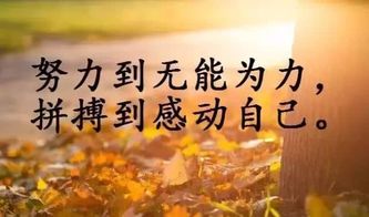 工作心態(tài)正能量句子短語(yǔ)