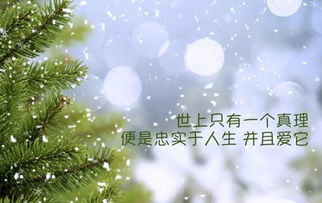 勵(lì)志早安勵(lì)志正能量的句子說說心情短語(yǔ)