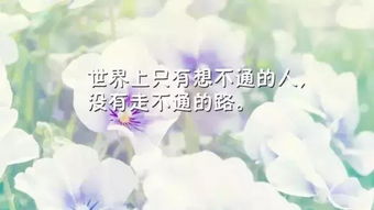正能量句子勵(lì)志短句子微笑
