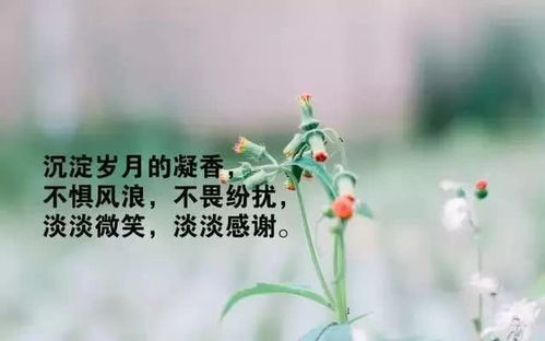 正能量句子說(shuō)說(shuō)心情短語(yǔ),一個(gè)人正能量的句子說(shuō)說(shuō)心情短語(yǔ),感謝正能量的句子說(shuō)說(shuō)心情短語(yǔ)