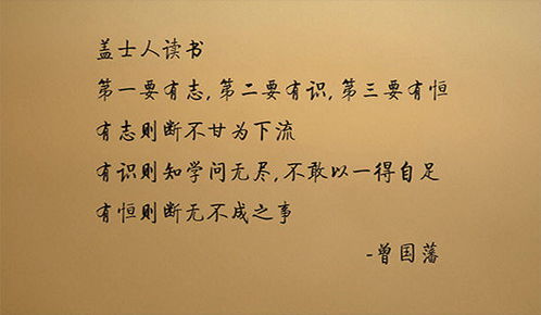 句子,能量,健康