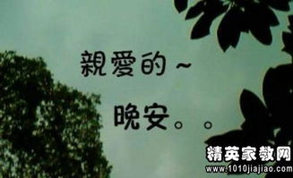 愛生活的正能量句子
