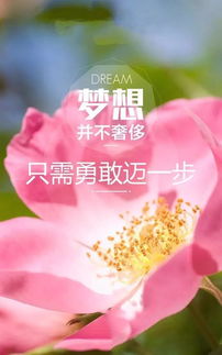 早安語錄正能量的句子,好心態(tài)早安正能量句子,早安勵志正能量的句子朋友圈