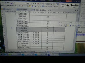 會(huì)計(jì)科目表利潤分配